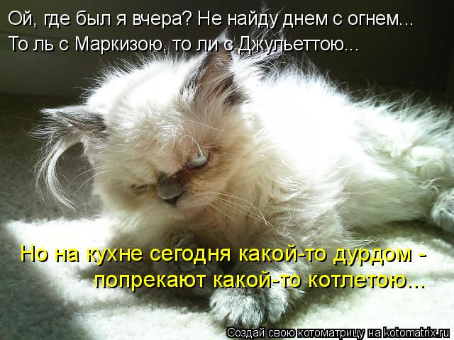 Котоматрица: Ой, где был я вчера? Не найду днем с огнем... То ль с Маркизою, то ли с Джульеттою... Но на кухне сегодня какой-то дурдом -  попрекают какой-то кот