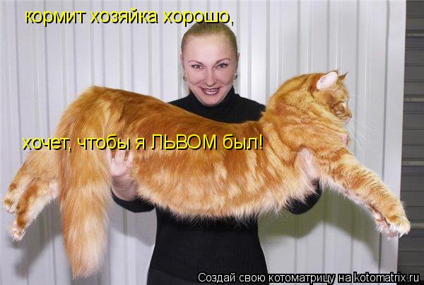 Котоматрица: кормит хозяйка хорошо, хочет, чтобы я ЛЬВОМ был!
