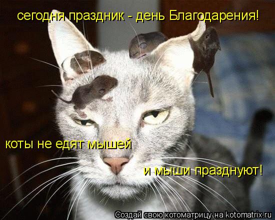 Котоматрица: сегодня праздник - день Благодарения! коты не едят мышей и мыши празднуют!