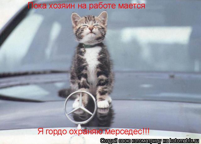 Котоматрица: Пока хозяин на работе мается Я гордо охраняю мерседес!!!