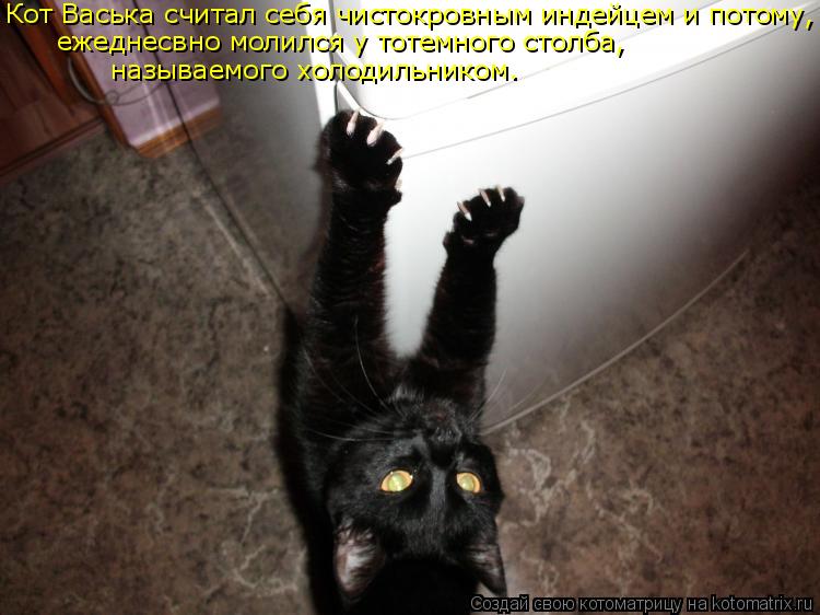 Котоматрица: Кот Васька считал себя чистокровным индейцем и потому, ежеднесвно молился у тотемного столба, называемого холодильником.