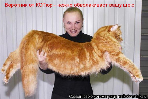 Котоматрица: Воротник от КОТюр - нежно обволакивает вашу шею