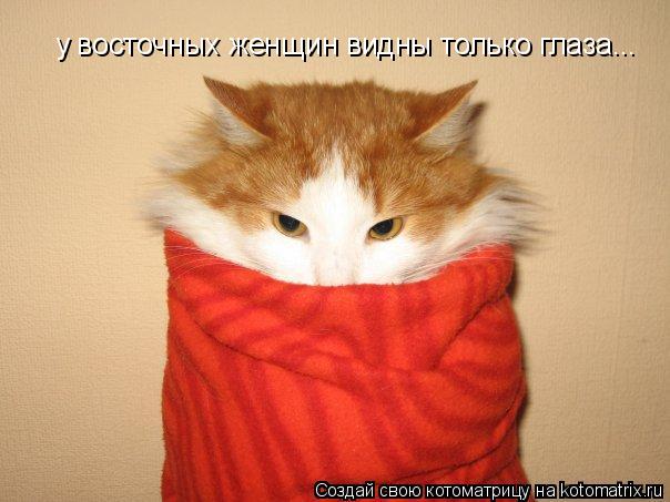 Котоматрица: у восточных женщин видны только глаза...