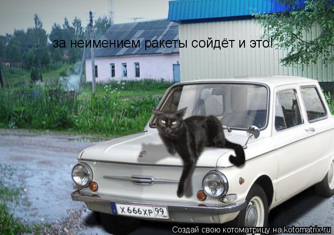 Котоматрица: за неимением ракеты сойдёт и это!