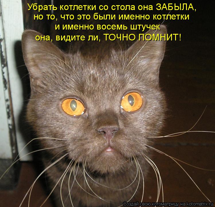 Убрать котлетки со стола она ЗАБЫЛА, но то, что это были именно котлетки и именно восемь штучек она, ... Котоматрица: Убрать котлетки со стола она ЗАБЫЛА, но то, что это были именно котлетки и именно восемь штучек она, видите ли, ТОЧНО ПОМНИТ!