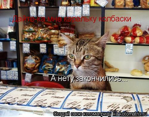 Котоматрица: Дайте-ка мне каральку колбаски А нету,закончились...