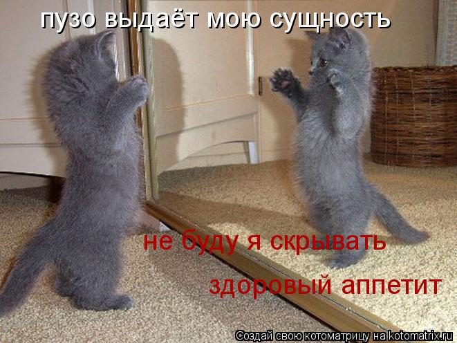 пузо выдаёт мою сущность не буду я скрывать здоровый аппетит... Котоматрица: пузо выдаёт мою сущность не буду я скрывать здоровый аппетит