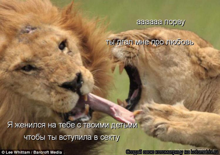 Котоматрица: Я женился на тебе с твоими детьми чтобы ты вступила в секту аааааа порву ты лгал мне про любовь
