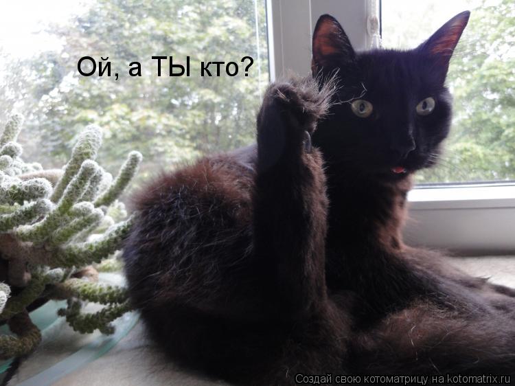 Котоматрица: Ой, а ТЫ кто?