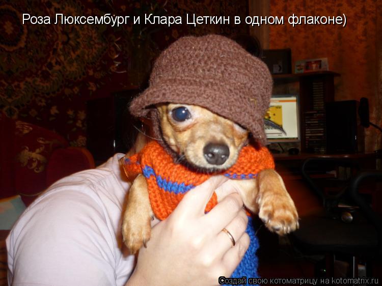 Котоматрица: Роза Люксембург и Клара Цеткин в одном флаконе)