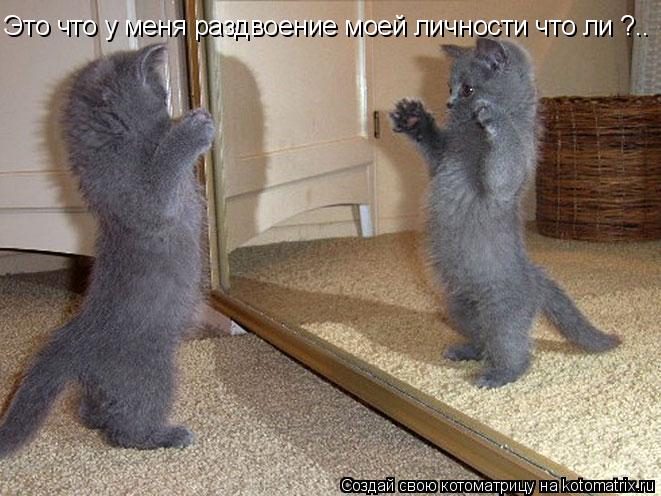 Котоматрица: Это что у меня раздвоение моей личности что ли ?..
