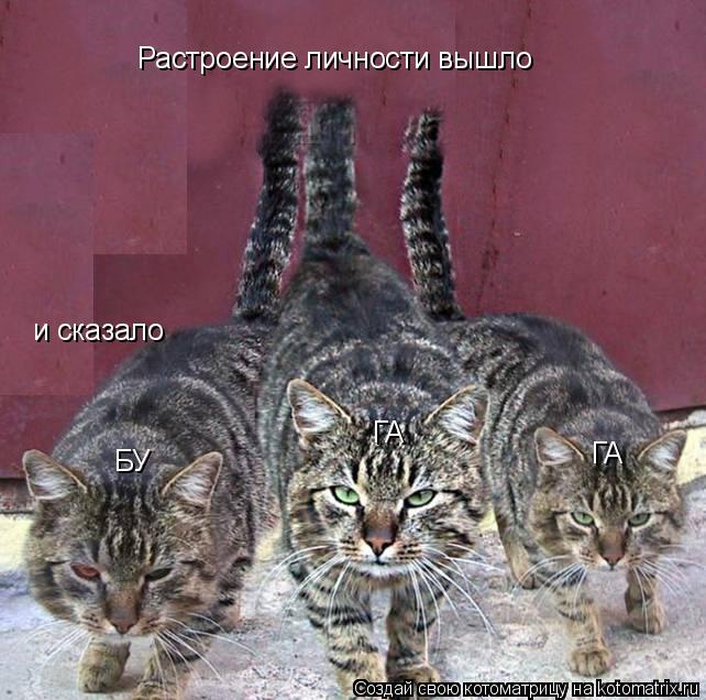 Котоматрица: Растроение личности вышло и сказало БУ ГА ГА