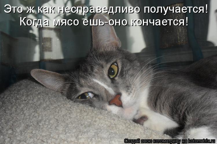 Это ж как несправедливо получается! Когда мясо ешь-оно кончается!... Котоматрица: Это ж как несправедливо получается! Когда мясо ешь-оно кончается!