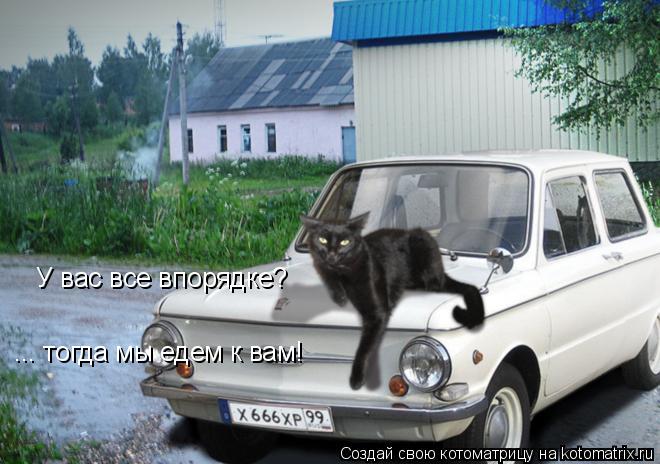 Котоматрица: У вас все впорядке? ... тогда мы едем к вам!