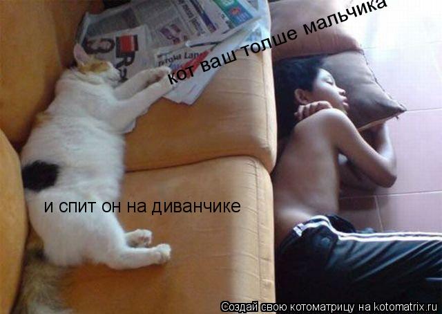 Котоматрица: и спит он на диванчике кот ваш толше мальчика