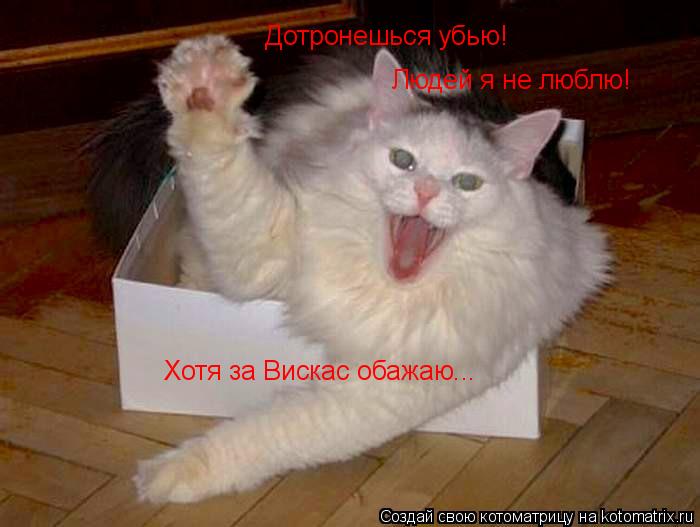 Дотронешься убью! Людей я не люблю! Хотя за Вискас обажаю...... Котоматрица: Дотронешься убью! Людей я не люблю! Хотя за Вискас обажаю...