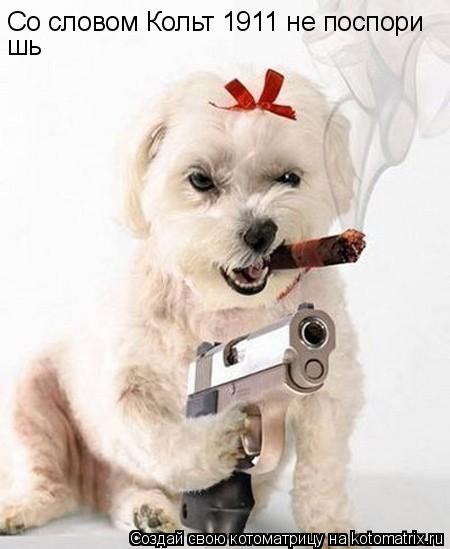 Со словом Кольт 1911 не поспори шь... Котоматрица: Со словом Кольт 1911 не поспори шь
