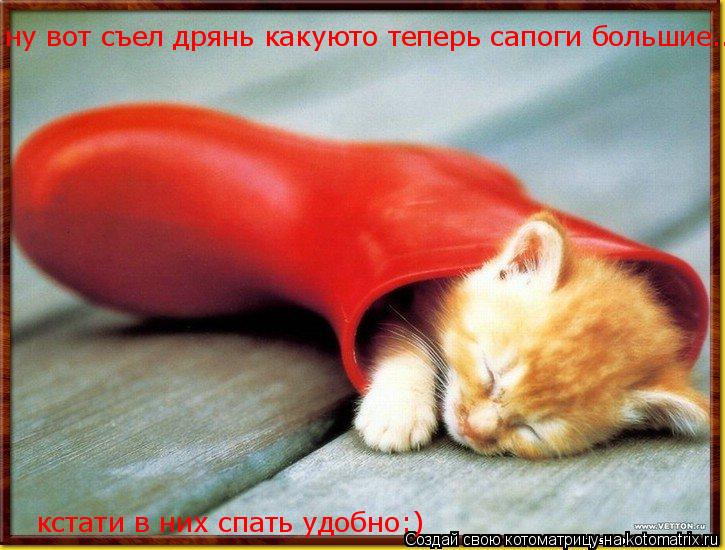 ну вот съел дрянь какуюто теперь сапоги большие... кстати в них спать удобно:)... Котоматрица: ну вот съел дрянь какуюто теперь сапоги большие... кстати в них спать удобно:)
