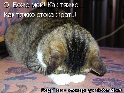 О, Боже мой! Как тяжко... Как тяжко стока жрать!... Котоматрица: О, Боже мой! Как тяжко... Как тяжко стока жрать!