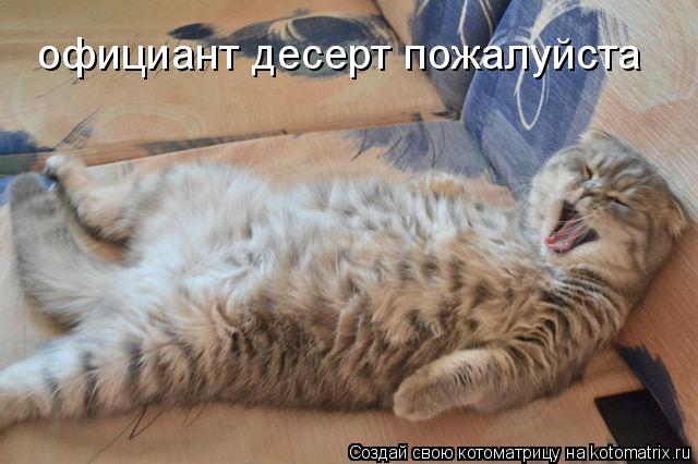 Котоматрица: официант десерт пожалуйста