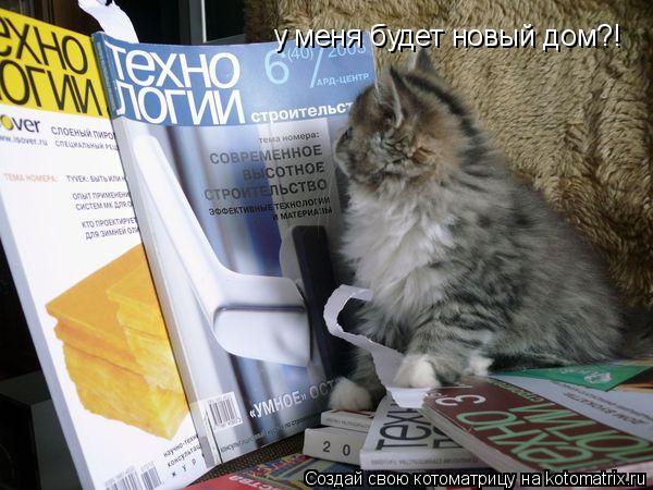 у меня будет новый дом?!... Котоматрица: у меня будет новый дом?!