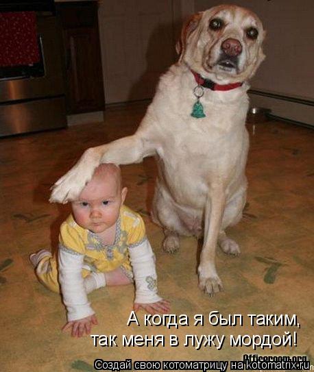 А когда я был таким, так меня в лужу мордой!... Котоматрица: А когда я был таким, так меня в лужу мордой!