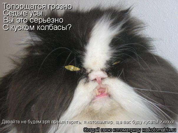 Топорщатся грозно Седые усы – Вы это серьёзно С куском колбасы? Давайте не будем зря время терять, я ... Котоматрица: Топорщатся грозно Седые усы – Вы это серьёзно С куском колбасы? Давайте не будем зря время терять, я котовампир, ща вас буду кусать! Хххххх...