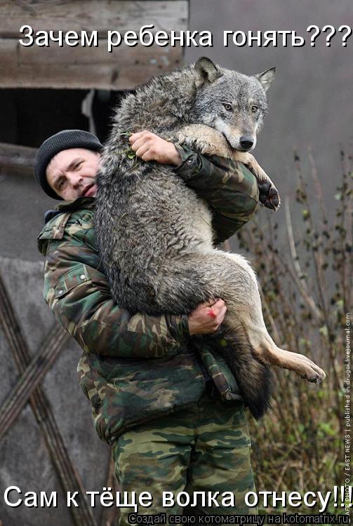Зачем ребенка гонять??? Сам к тёще волка отнесу!!!... Котоматрица: Зачем ребенка гонять??? Сам к тёще волка отнесу!!!
