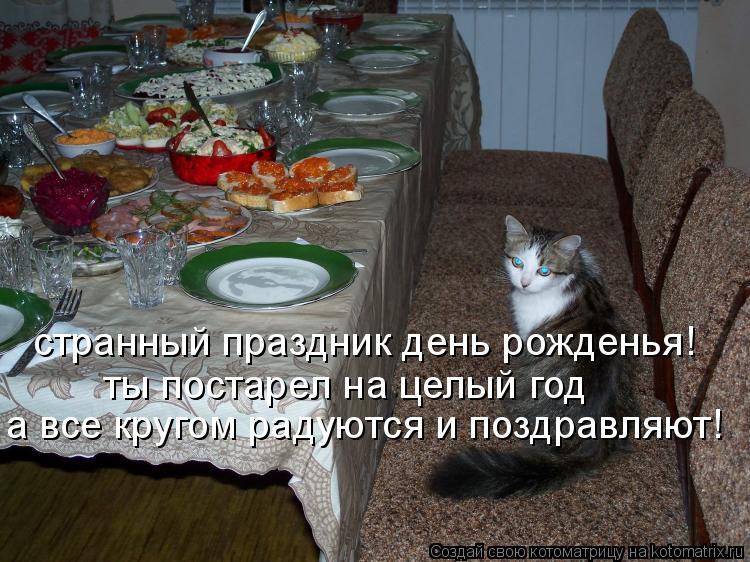 странный праздник день рожденья! ты постарел на целый год а все кругом радуются и поздравляют!... Котоматрица: странный праздник день рожденья! ты постарел на целый год а все кругом радуются и поздравляют!