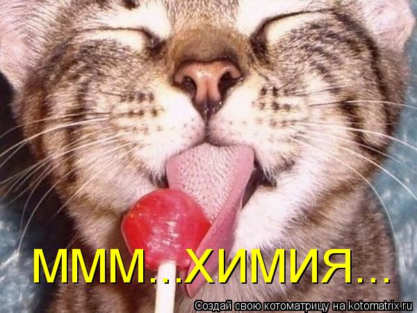 МММ...ХИМИЯ...... Котоматрица: МММ...ХИМИЯ...