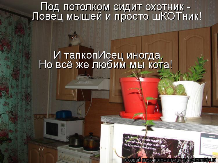 Под потолком сидит охотник - Ловец мышей и просто шКОТник! И тапкопИсец иногда, Но всё же любим мы к... Котоматрица: Под потолком сидит охотник - Ловец мышей и просто шКОТник! И тапкопИсец иногда, Но всё же любим мы кота!
