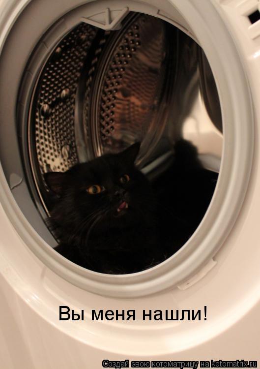 Вы меня нашли!... Котоматрица: Вы меня нашли!