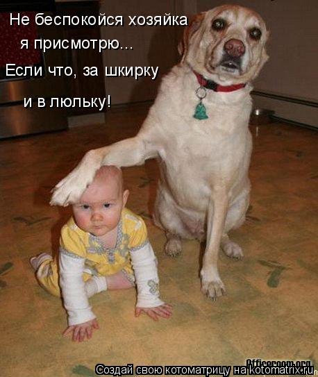 Не беспокойся хозяйка я присмотрю... Если что, за шкирку и в люльку!... Котоматрица: Не беспокойся хозяйка я присмотрю... Если что, за шкирку и в люльку!