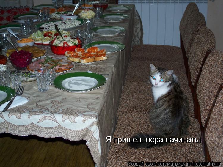 Я пришел, пора начинать!... Котоматрица: Я пришел, пора начинать!