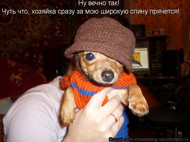Ну вечно так! Чуть что, хозяйка сразу за мою широкую спину прячется!... Котоматрица: Ну вечно так! Чуть что, хозяйка сразу за мою широкую спину прячется!