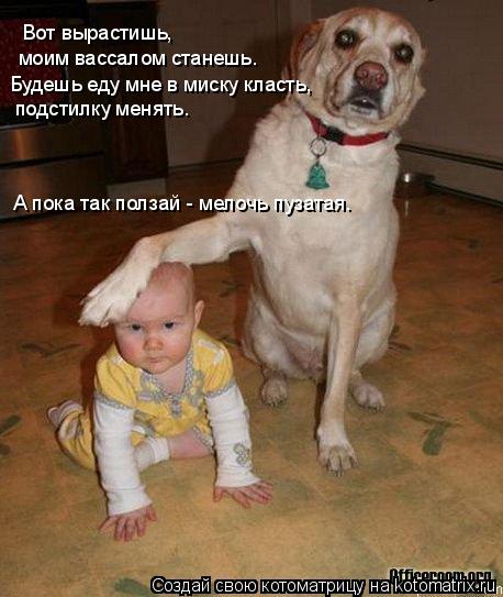 Вот вырастишь, моим вассалом станешь. Будешь еду мне в миску класть, подстилку менять. А пока так пол... Котоматрица: Вот вырастишь, моим вассалом станешь. Будешь еду мне в миску класть, подстилку менять. А пока так ползай - мелочь пузатая.