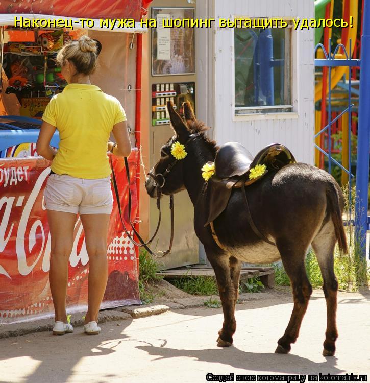 Наконец-то мужа на шопинг вытащить удалось!... Котоматрица: Наконец-то мужа на шопинг вытащить удалось!