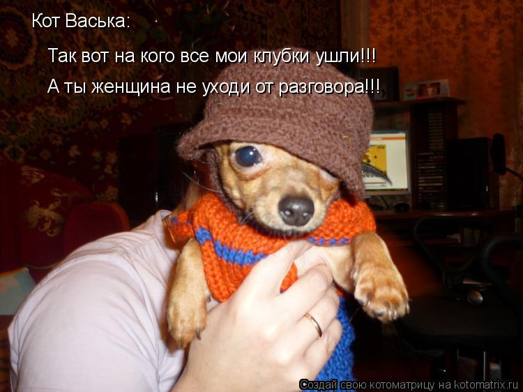Кот Васька: Так вот на кого все мои клубки ушли!!! А ты женщина не уходи от разговора!!!... Котоматрица: Кот Васька: Так вот на кого все мои клубки ушли!!! А ты женщина не уходи от разговора!!!