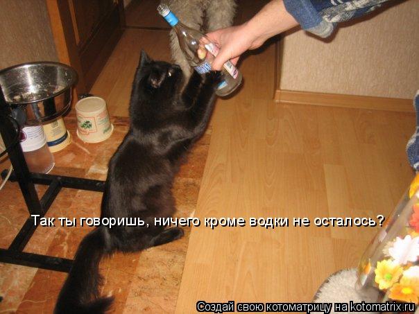 Так ты говоришь, ничего кроме водки не осталось?Ну раз так давай Так ты говоришь, ничего кроме водки ... Котоматрица: Так ты говоришь, ничего кроме водки не осталось?Ну раз так давай Так ты говоришь, ничего кроме водки не осталось?