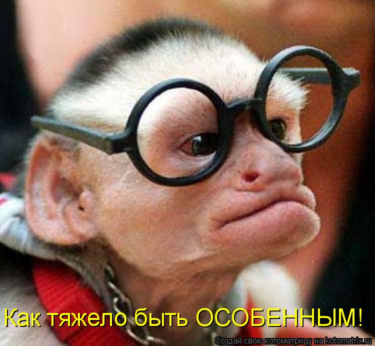 Как тяжело быть ОСОБЕННЫМ!... Котоматрица: Как тяжело быть ОСОБЕННЫМ!