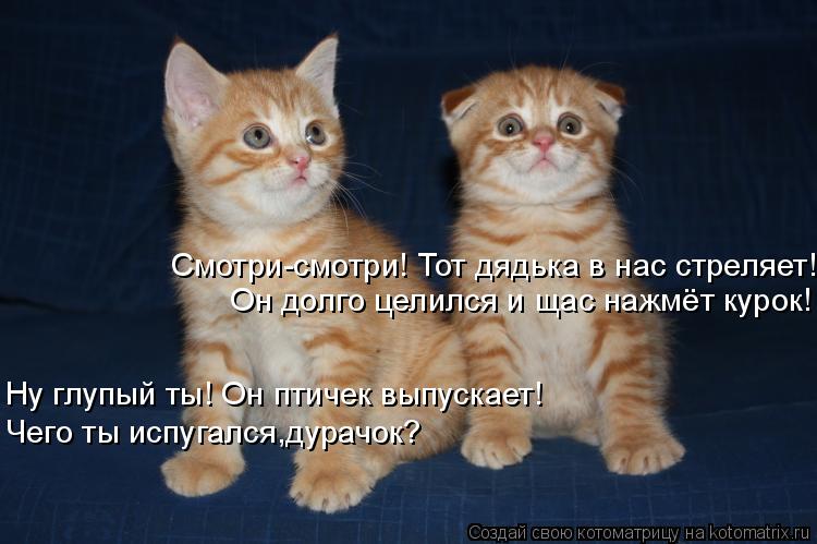 Ну глупый ты! Он птичек выпускает! Смотри-смотри! Тот дядька в нас стреляет! Он долго целился и щас н... Котоматрица: Ну глупый ты! Он птичек выпускает! Смотри-смотри! Тот дядька в нас стреляет! Он долго целился и щас нажмёт курок! Чего ты испугался,дурачок?