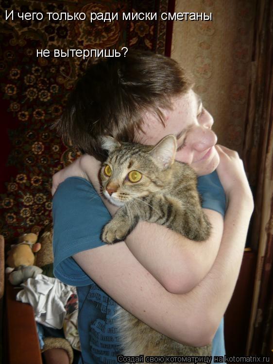 И чего только ради миски сметаны не вытерпишь?... Котоматрица: И чего только ради миски сметаны не вытерпишь?