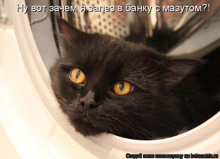 Ну вот зачем я залез в банку с мазутом?!... Котоматрица: Ну вот зачем я залез в банку с мазутом?!