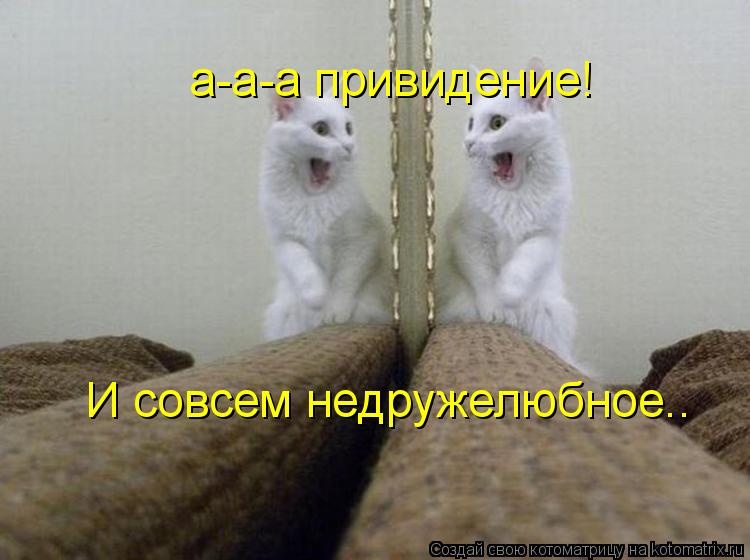 а-а-а привидение! И совсем недружелюбное..... Котоматрица: а-а-а привидение! И совсем недружелюбное..