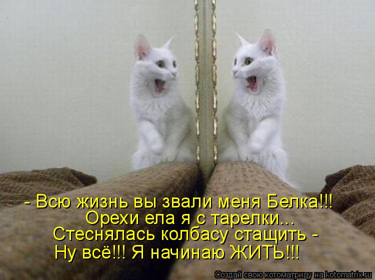 - Всю жизнь вы звали меня Белка!!! Орехи ела я с тарелки... Стеснялась колбасу стащить - Ну всё!!! Я... Котоматрица: - Всю жизнь вы звали меня Белка!!! Орехи ела я с тарелки... Стеснялась колбасу стащить - Ну всё!!! Я начинаю ЖИТЬ!!!