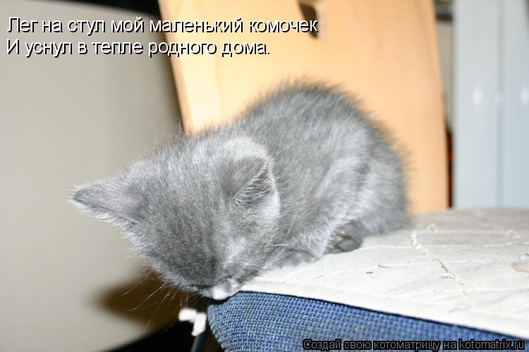 Лег на стул мой маленький комочек И уснул в тепле родного дома.... Котоматрица: Лег на стул мой маленький комочек И уснул в тепле родного дома.
