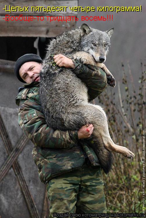 Котоматрица: -Целых пятьдесят четыре килограмма!  -Вообще-то тридцать восемь!!!