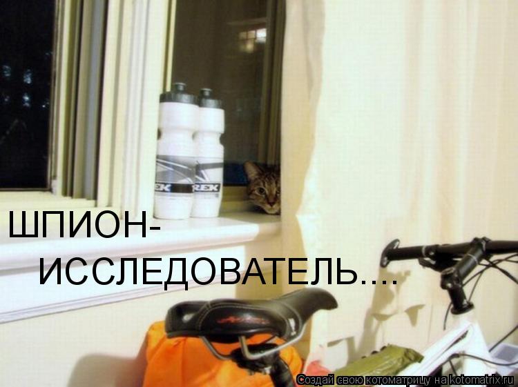 ШПИОН- ИССЛЕДОВАТЕЛЬ....... Котоматрица: ШПИОН- ИССЛЕДОВАТЕЛЬ....