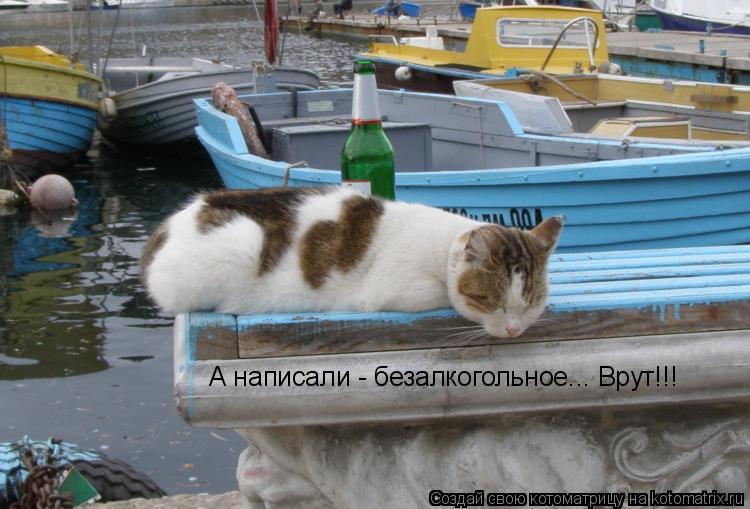Котоматрица: А написали - безалкогольное... Врут!!!