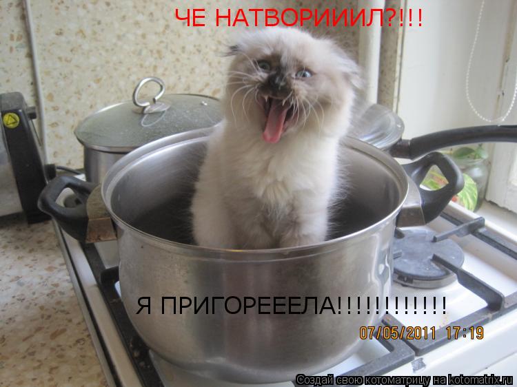 Котоматрица: ЧЕ НАТВОРИИИЛ?!!! Я ПРИГОРЕЕЕЛА!!!!!!!!!!!!